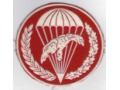 Oznaka 10 batalion powietrzno-desantowy 6PDPD