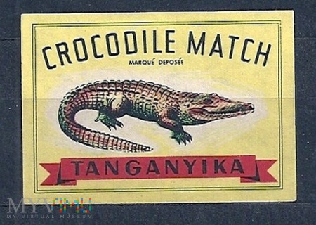Crocodile Match