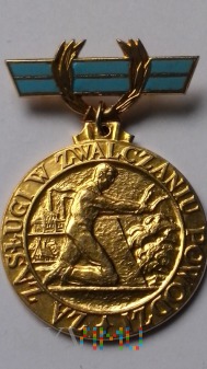 Odznaka Za Zasługi w Zwalczaniu Powodzi - złota