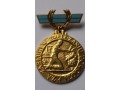 Odznaka Za Zasługi w Zwalczaniu Powodzi - złota