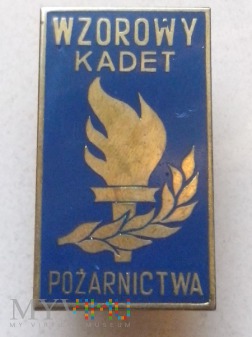 Odznaka Wzorowy Kadet Pożarnictwa - złota