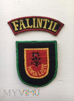 FALINTIL - Timor Wschodni