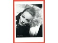 Marlene Dietrich portret Pocztówka MARLENA