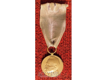 Duże zdjęcie Medal Dziesięciolecia Odzyskania Niepodległości