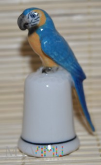 Duże zdjęcie KLIMA-papuga Ara