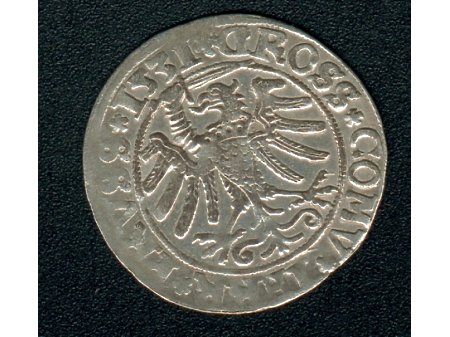 Grosz Toruński- 1531 r