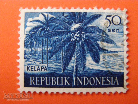 040. Indonezja