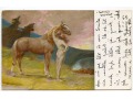 Bergmuller - Walkiria - Akt z koniem