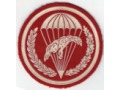 Oznaka 16 batalion powietrzno-desantowy 6PBPD