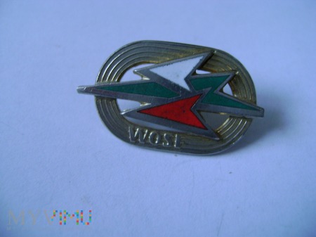 Złota Odznaka WOSF