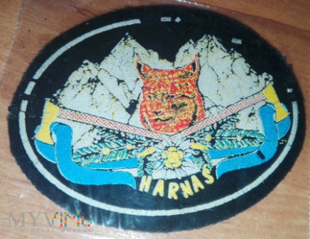 Duże zdjęcie 21 BSP, odznaka sprawnościowa "Harnaś"