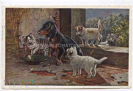 Dachshund - Jamnik jak pies z kotem - obieg 1931