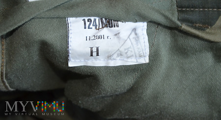 Mundur polowy letni WZ 124/MON - spodnie KAMA