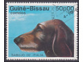 Sabujo Italiano (Canis lupus familiaris)