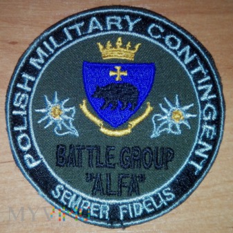 Duże zdjęcie 21 BSP, PMC Semper Fidelis, Battle Group Alfa