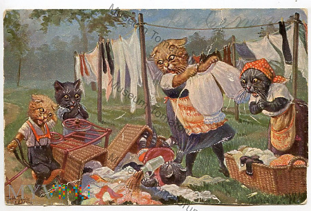 Koty uczłowieczone - 1924