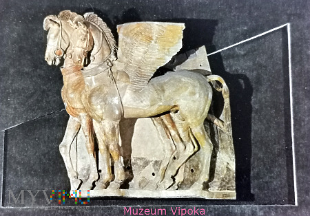 Duże zdjęcie Tarquinia - Etruskie skrzydlate konie