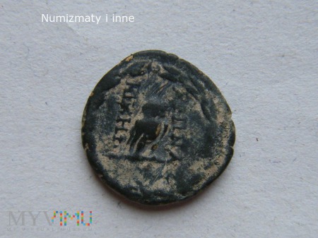 moneta grecka