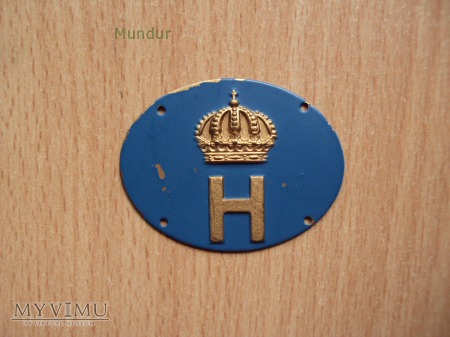 Duże zdjęcie Szwecja-oznaka specjalności wojskowej: Hemvärnet