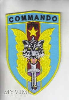 Duże zdjęcie DR Kongo - Odznaka Komandosa