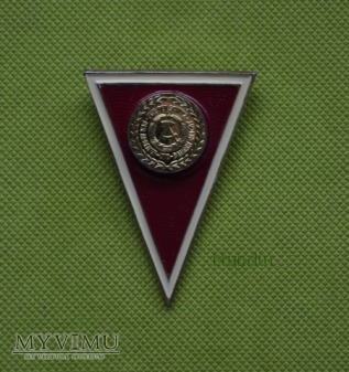 Absolventenabzeichen für Offiziere mit Diplom