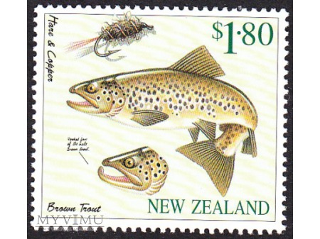 Nowa Zelandia 1997