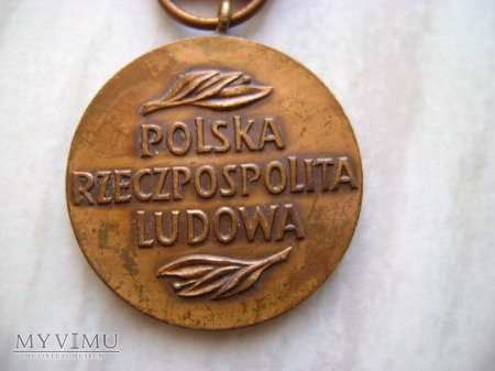 Medal Komisji Edukacji Narodowej