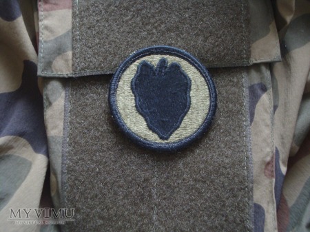 24th Infantry Division - polowa