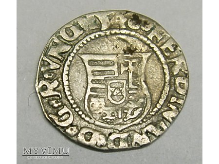 Denar mennica Krzemnica- 1546 r
