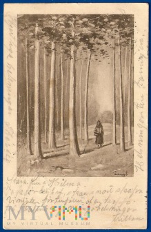 6a-Postkarte.3.2.1903