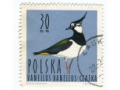 1964 Czajka Ptak znaczek Vanellus Vanellus Polska