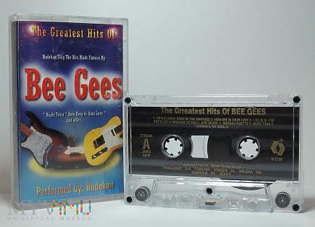 Bee Gees - Hits - wykonuje Budokan