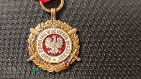 Medal Siły Zbrojne w Służbie Ojczyzny Brązowy