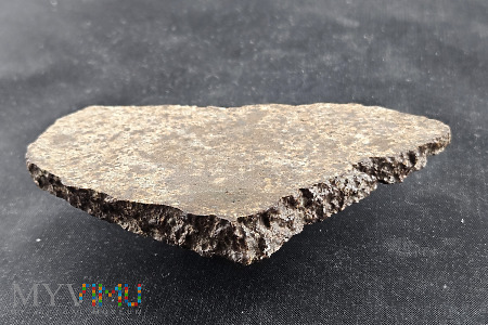 31- NWA XXX- 80,1 gram- Chondryt zwyczajny L