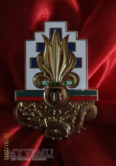 odznaka 13ème Demi-brigade de Légion étrangère