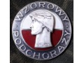 Srebrna odznaka „WZOROWY PODCHORĄŻY” wz. z 1973r.