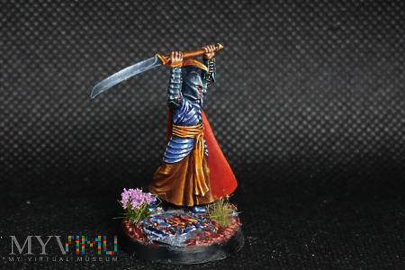 Elf Warrior with sword, Lord of the Rings, 28 mm.