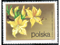 Znaczek Różanecznik Żółty 3,40 zł 1972 r.
