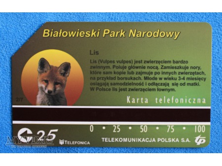 Białowieski Park Narodowy 2 (7)