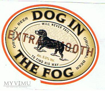 dog in the fog