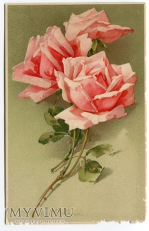 Catharina C. Klein Róże Roses Meissner & Buch