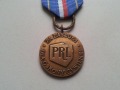Odznaka „Za Zasługi dla Obrony Cywilnej” brązowa