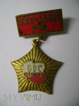odznaka BPS