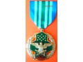 Medal Pochwalny Joint Service USA