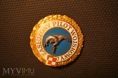 Zasłużony Pilot Wojskowy I stopnia : Nr:0140