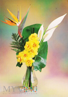 Duże zdjęcie Bukiet kwiatów