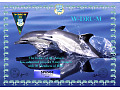 dolphins-wdrcm-30-2846