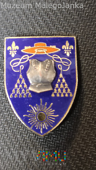 Odznaka 6 Pułku Kawalerii wojsk armii francuskiej