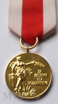 Medal Za Zasługi Dla Pożarnictwa-ZW ZOSP RP złoty