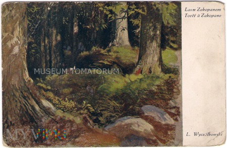 Duże zdjęcie Wyczółkowski - Las w Zakopanem - lata 20/30-te XXw